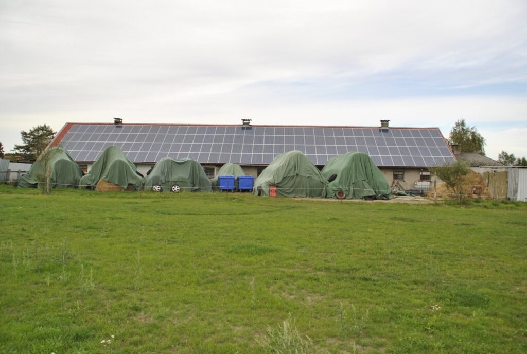 Foto der Immobilie (3185)