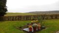 Blick in den Garten