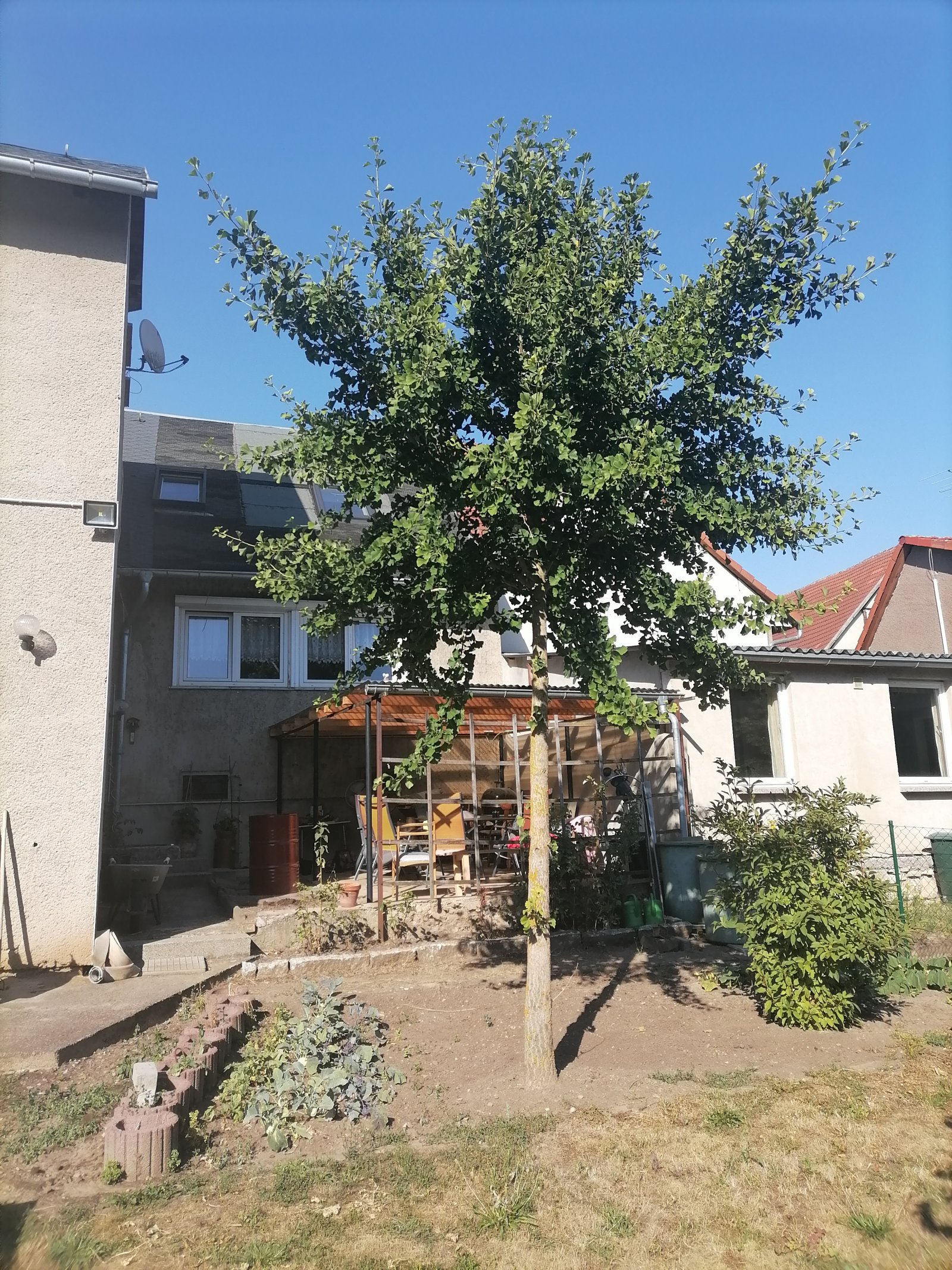 Foto der Immobilie (11484)