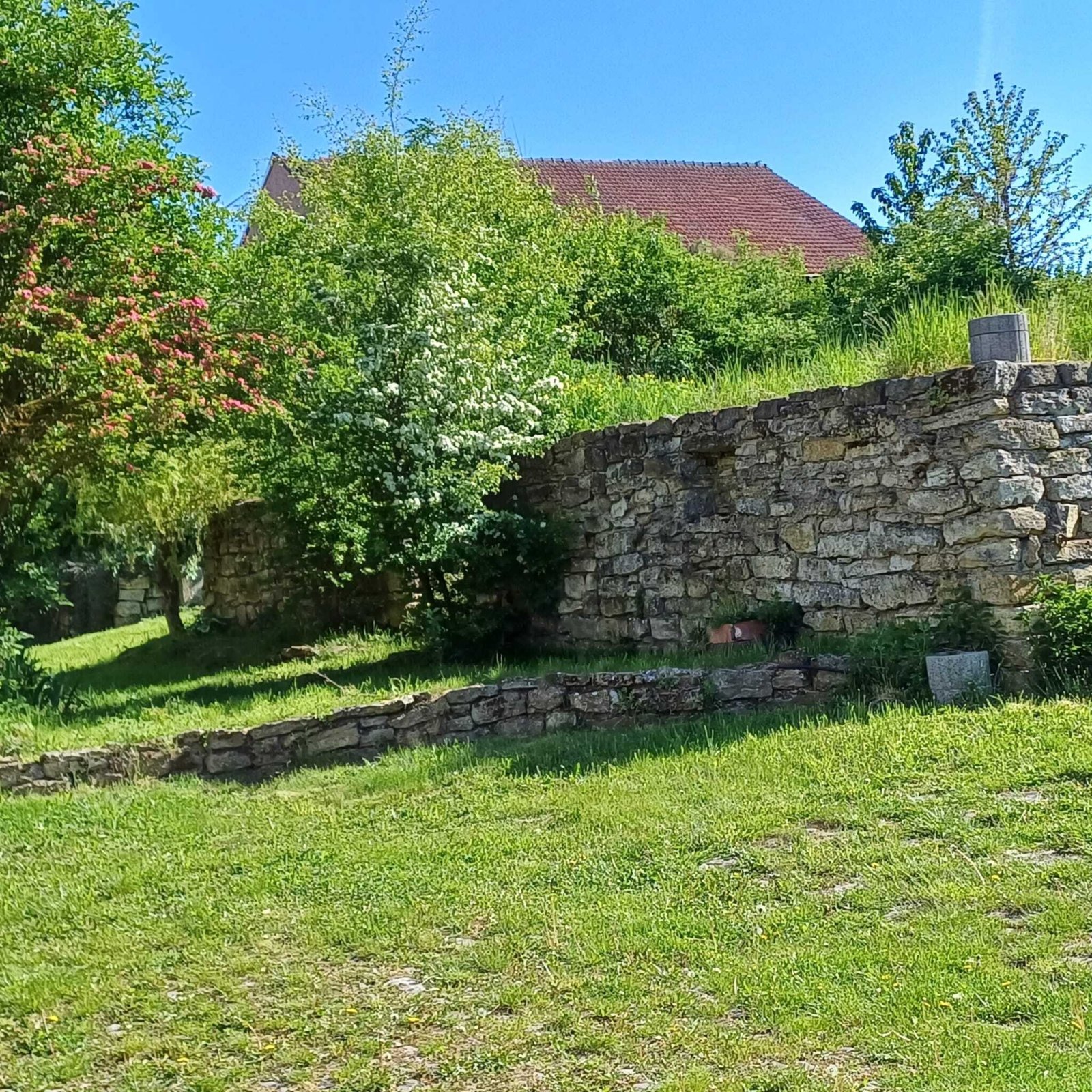 Foto der Immobilie (13309)